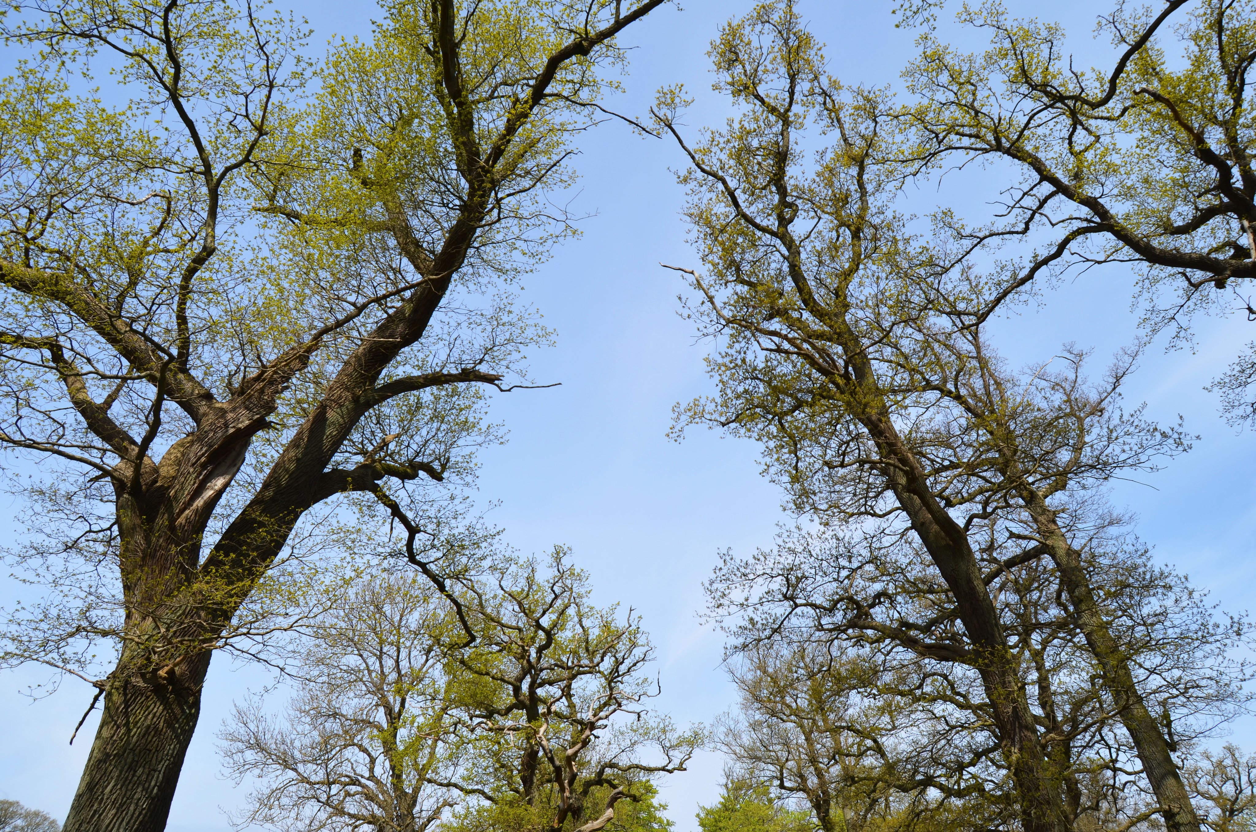 The beautiful outdoor life at Bakken